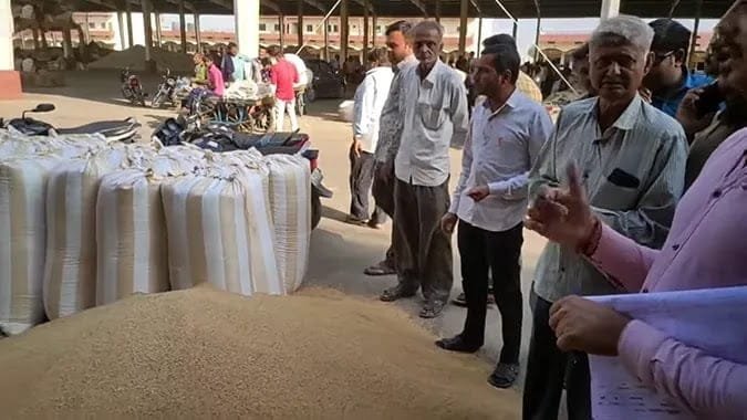 GBB wheat market price 40
