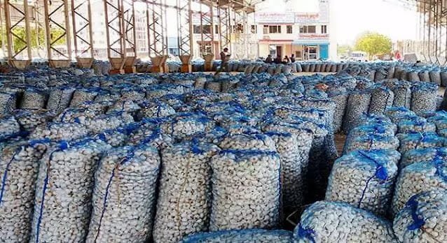 GBB garlic market price 13