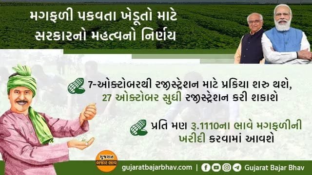 gujarat farmer teka na bhave magafali registration