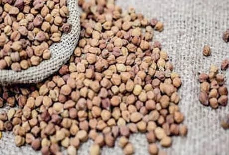 GBB chickpea market 5