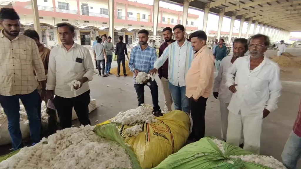 cotton market prices increase on demand from gin mill cotton