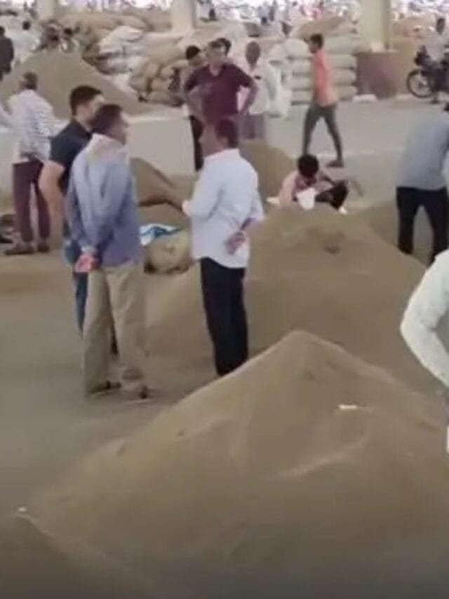 નવા વર્ષે જીરુંના ભાવમાં અફડાતફડી જોવા મળશે
