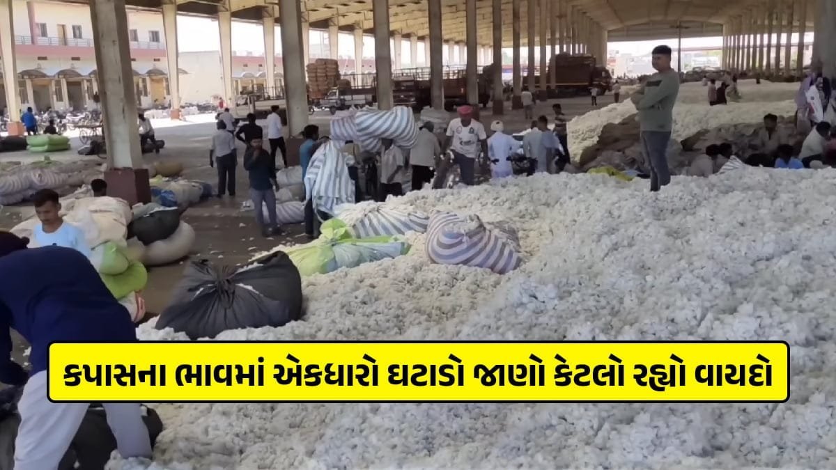 cotton price continuous down