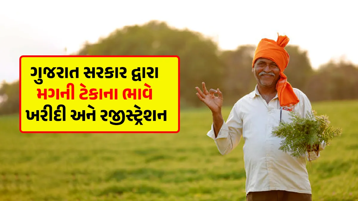 minimum support price in gujarat farmers moong tekana bhav registration and date