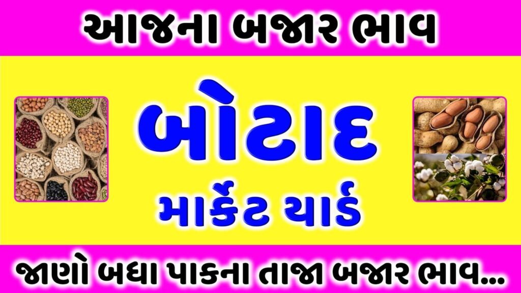 બોટાદ માર્કેટ યાર્ડ આજના બજાર ભાવ | APMC Botad market yard bhav | aaj na bajar bhav 1 APMC Botad market yard bhav | બોટાદ માર્કેટ યાર્ડ આજના બજાર ભાવ | aaj na bajar bhav