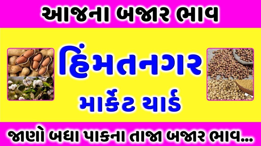 હિંમતનગર માર્કેટ યાર્ડ | આજના બજાર ભાવ | APMC Himatnagar Market Today Rate | aaj na bajar bhav
