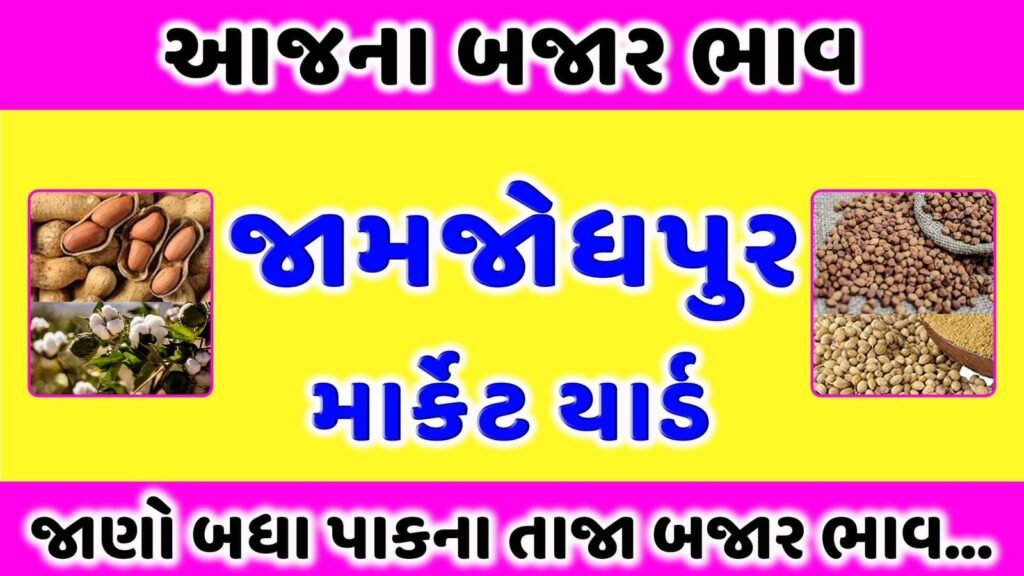 જામજોધપુર માર્કેટ યાર્ડ ભાવ | આજના બજાર ભાવ | APMC Jamjodhpur Market Rate Today | aaj na bajar bhav