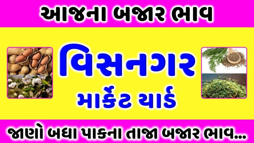 વિસનગર માર્કેટ યાર્ડ | આજના બજાર ભાવ | APMC Visnagar Market Rates | aaj na bajar bhav