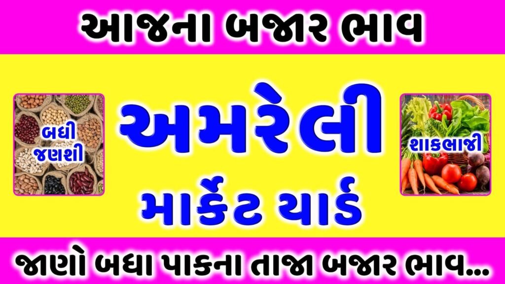 અમરેલી માર્કેટ યાર્ડ આજના તાજા બજાર ભાવ | APMC Amreli Market Yard Price today | aaj na taja bhav 1 અમરેલી માર્કેટ યાર્ડ | આજના તાજા બજાર ભાવ | APMC Amreli Market Yard | aaj na bajar bhav