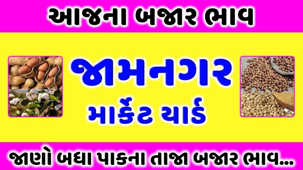 જામનગર માર્કેટ યાર્ડ આજના બજાર ભાવ | APMC Hapa Jamnagar Market Yard aaj na bajar bhav