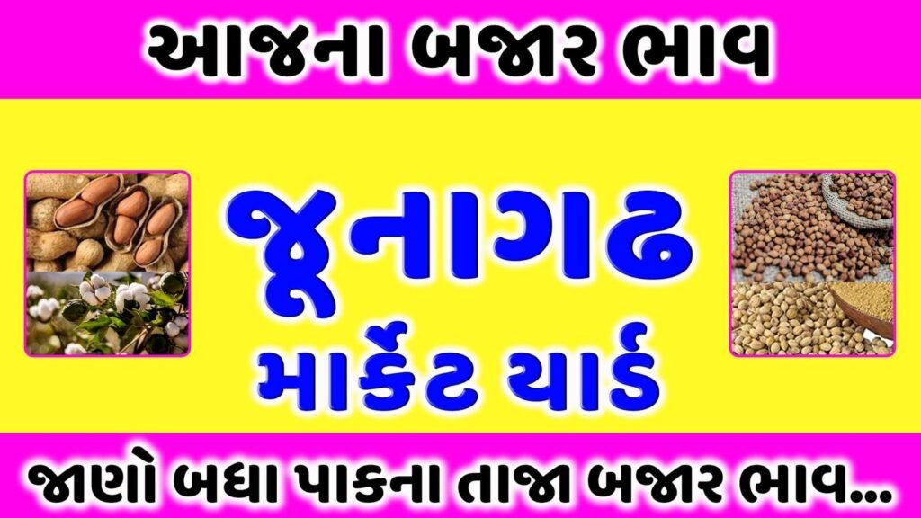 APMC Junagadh Market Yard Bhav | aaj na bajar bhav | જૂનાગઢ માર્કેટ યાર્ડ | APMC Junagadh Market Yard Bhav | Magfali Bhav Junagadh