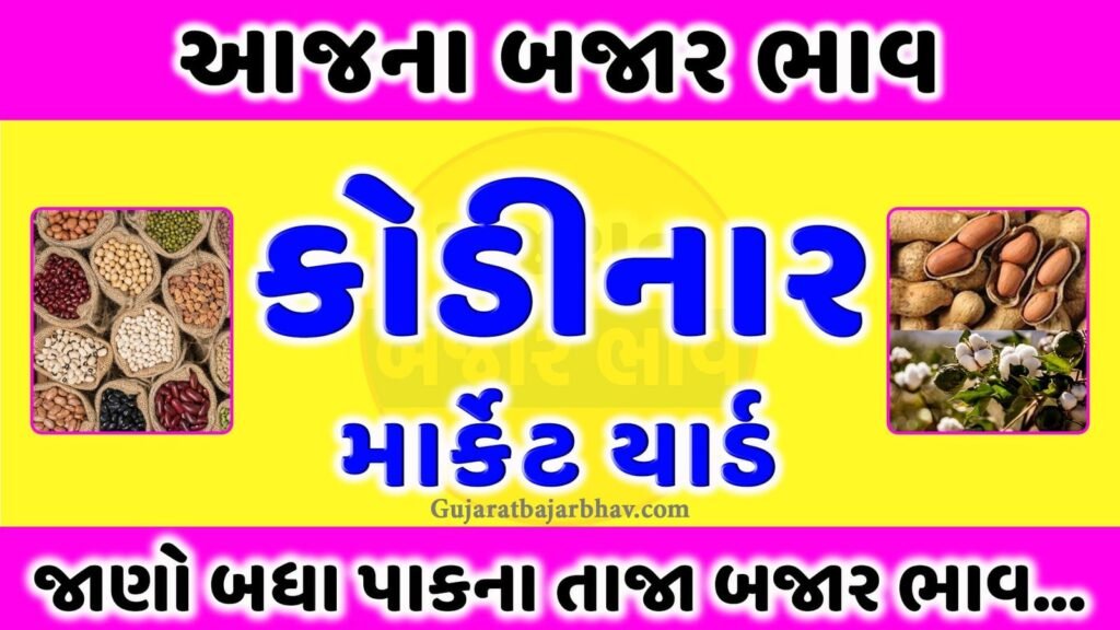 APMC Kodinar marketing yard bajar bhav | કોડીનાર માર્કેટ યાર્ડ આજના બજાર ભાવ | aaj na bajar bhav