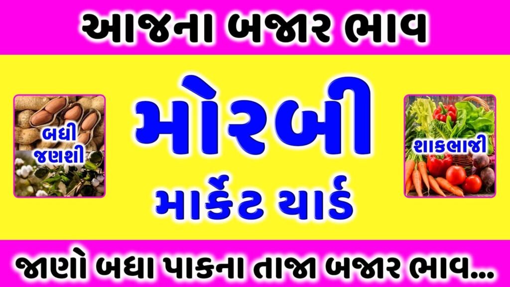 મોરબી માર્કેટ યાર્ડ | આજના બજાર ભાવ | APMC Morbi Marketing Yard | aaj na bajar bhav