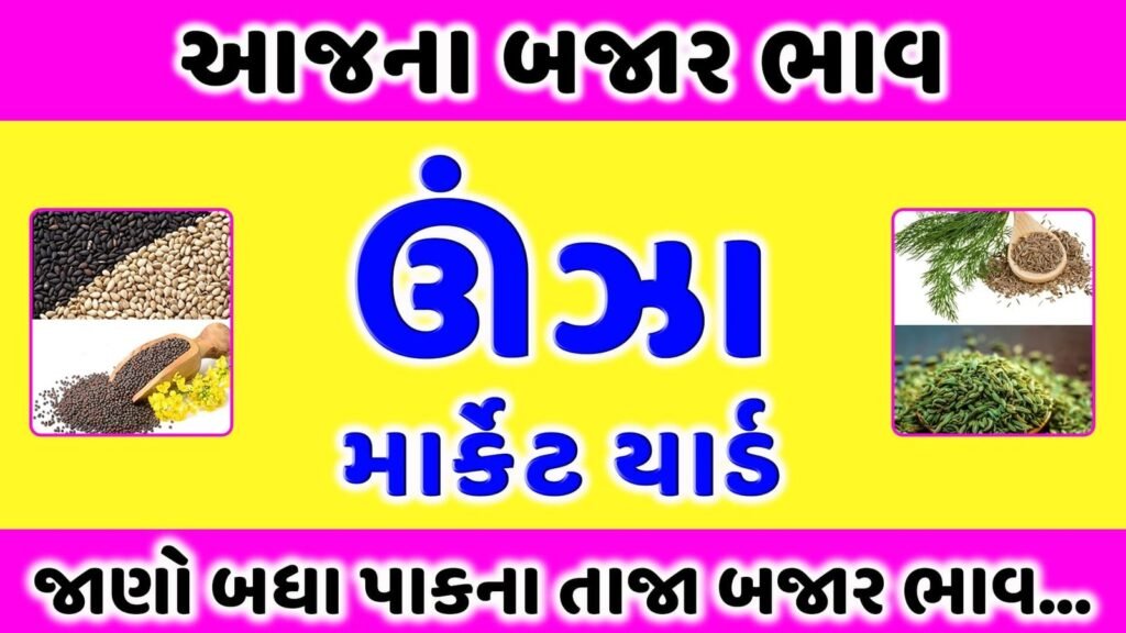 ઊંઝા માર્કેટ યાર્ડ | उंझा मंडी भाव | આજના બજાર ભાવ | Apmc Unjha Market Rate | Unjha APMC aaj na bajar bhav 1 ઊંઝા માર્કેટ યાર્ડ | આજના બજાર ભાવ | Apmc Unjha Market Rate | aaj na bajar bhav