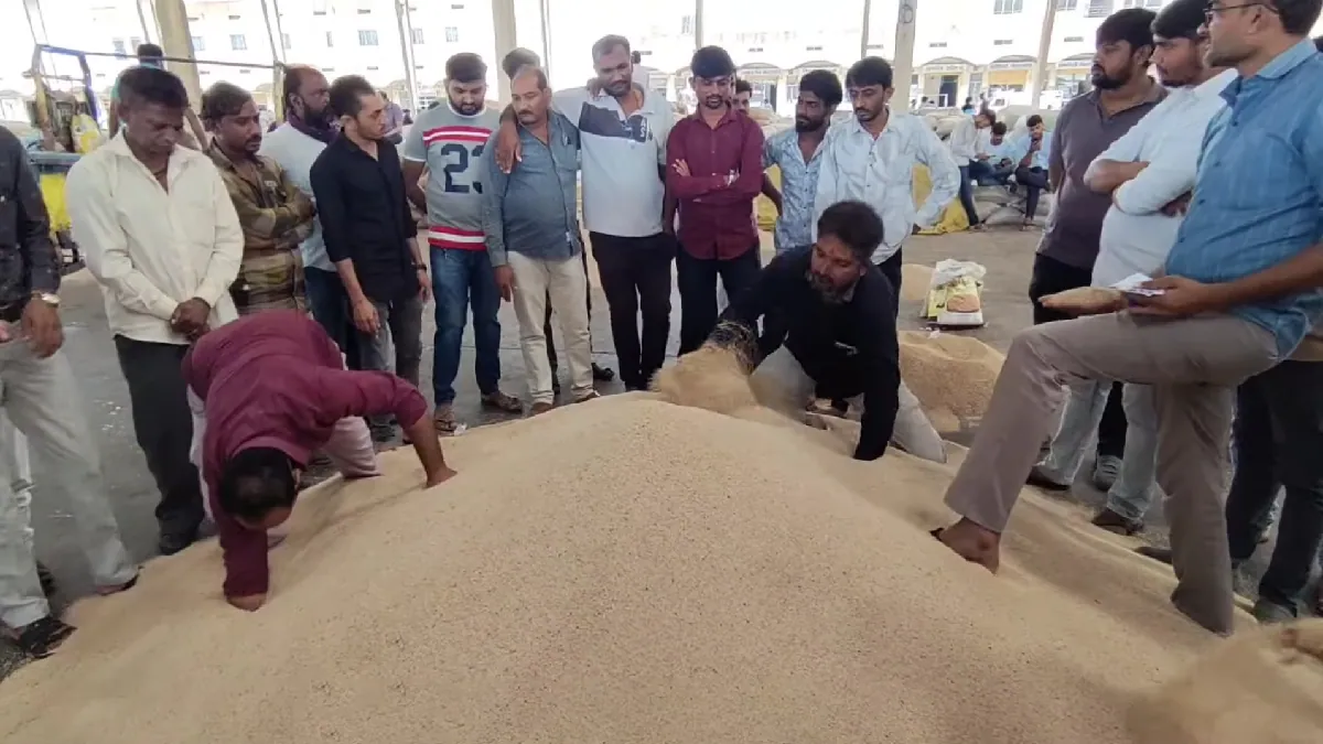 Sesame prices today slightly low due to Sesame export trade