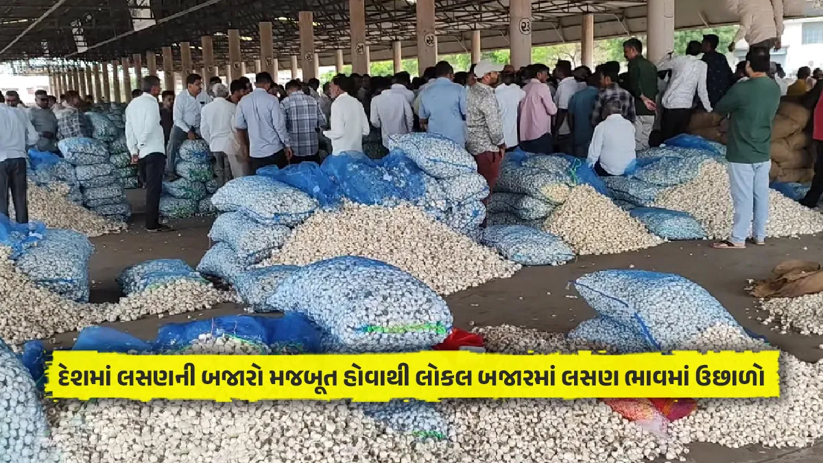 commodity bajar samachar Garlic price Today jumped due to trade