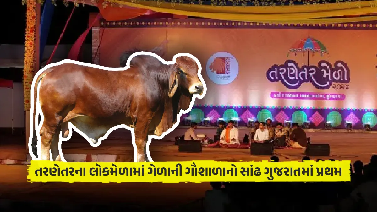 world famous surendranagar tarnetar fair in gujarati Gelani Gaushala bull first in Lok Mela