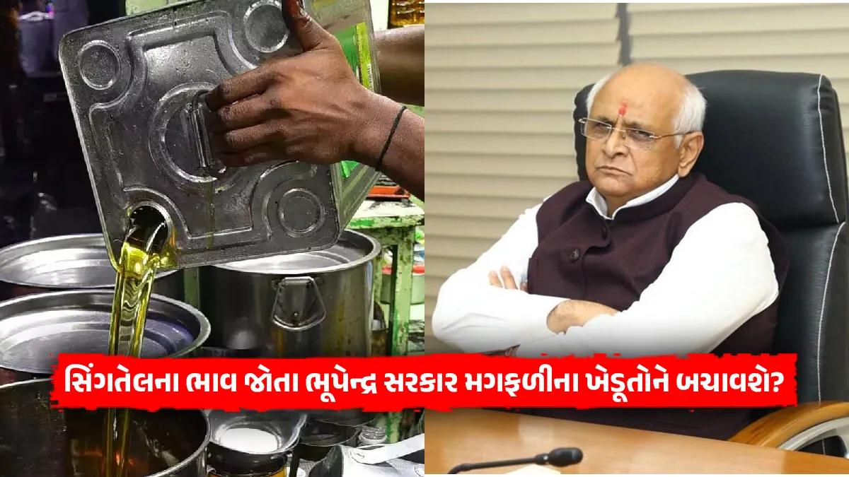 groundnut Singtel price down govt able to save gujarat peanut farmer