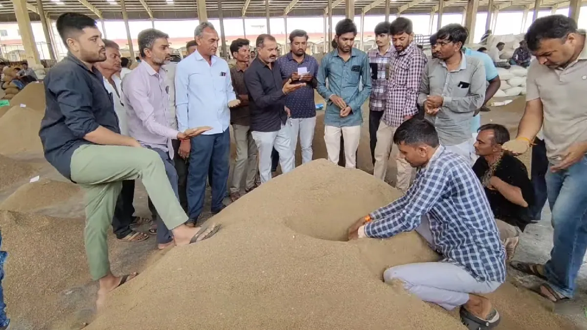 gujarat apmc market yard cumin rate today