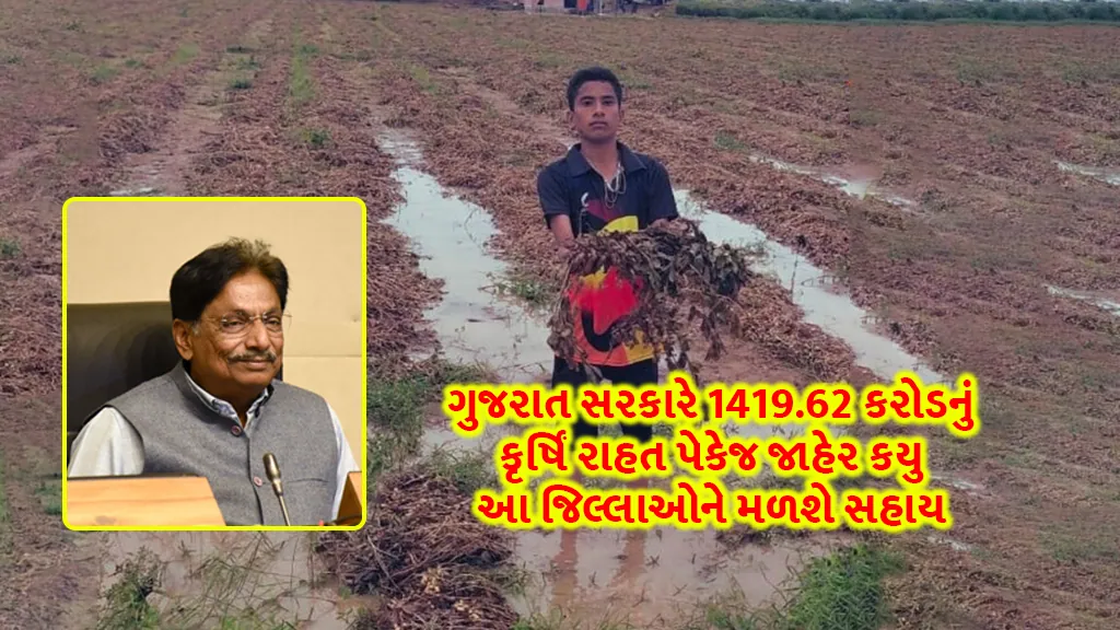 Agricultural relief package: Gujarat government has announced an agricultural relief package of 1419.62 crores, improved farmers' Diwali