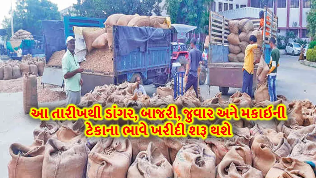 gujarat msp of Paddy Bajri Jowar and Maize Purchased from labh pancham