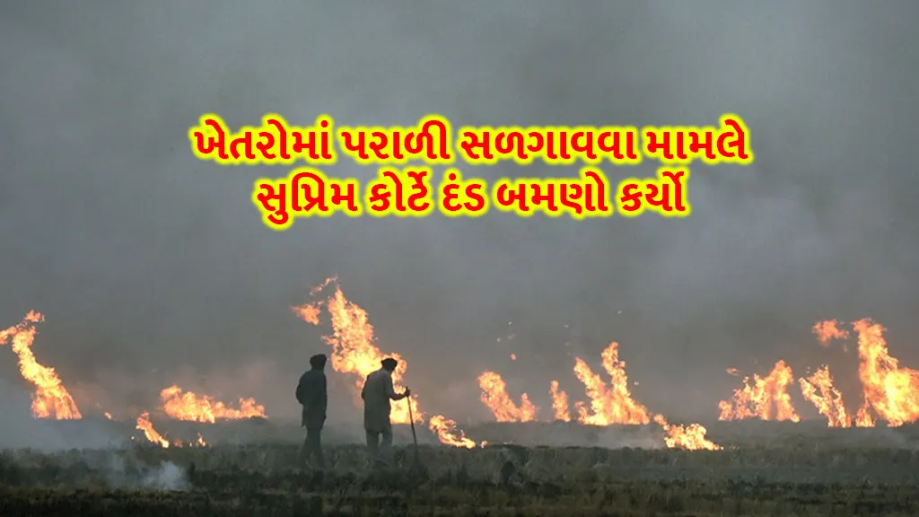 Supreme Court has doubled the fine for stubble burning in farming fields