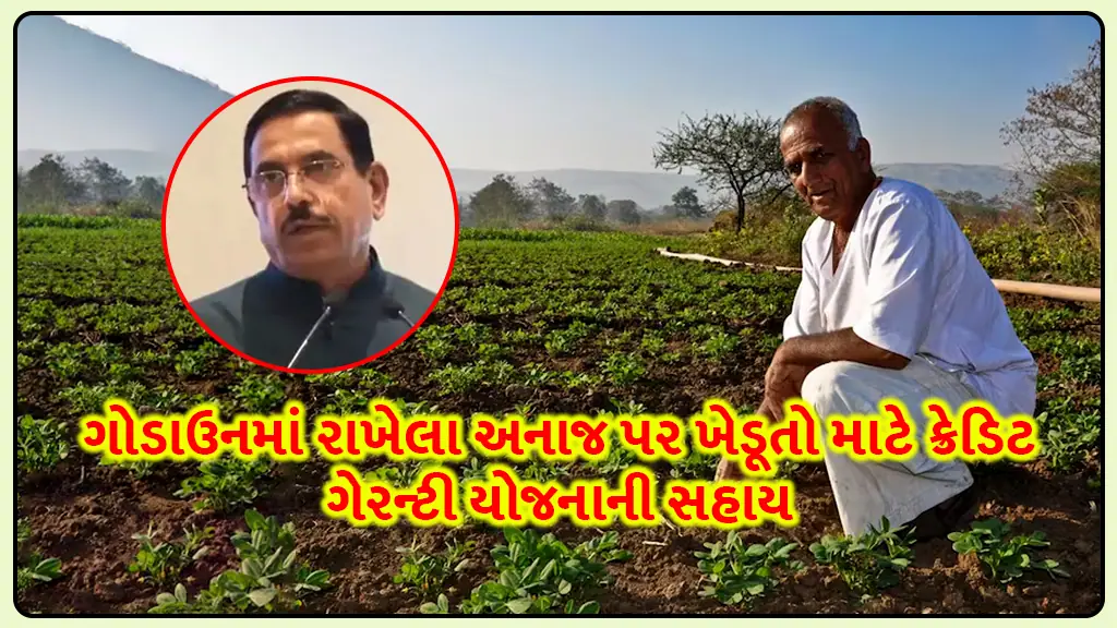 Agriculture Government's decision in the interest of farmers: Credit guarantee scheme assistance to farmers on grains kept in godowns