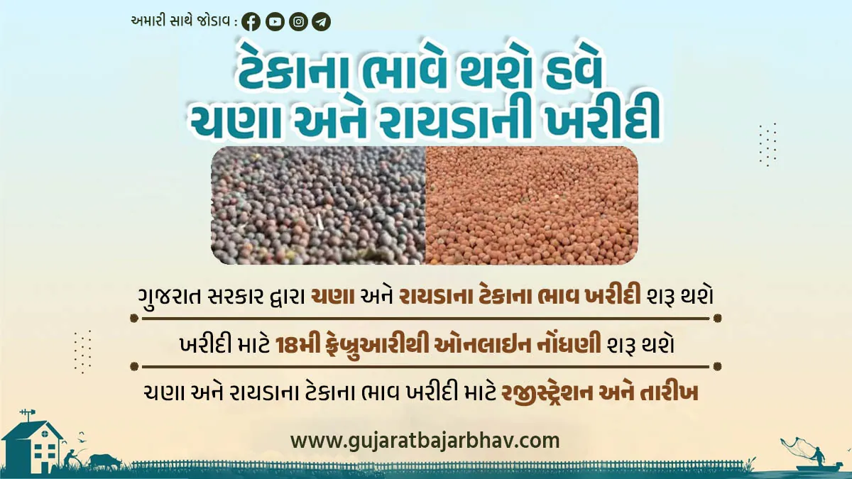 gujarat farmers msp Chana Mustard tekana bhav registration date in e-samriddhi portal