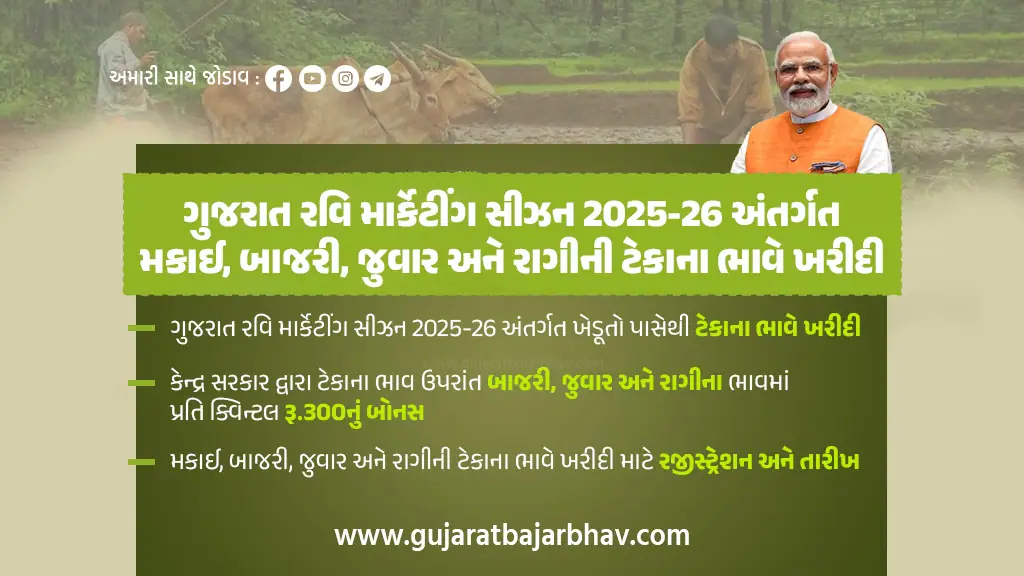Gujarat Rabi Marketing Season 2025-26 under msp maize, bajra, jowar and ragi tekana bhav Registration and date