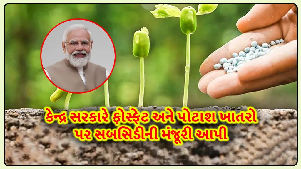 Central government approves subsidy on phosphate and potash fertilizers in Kharif season