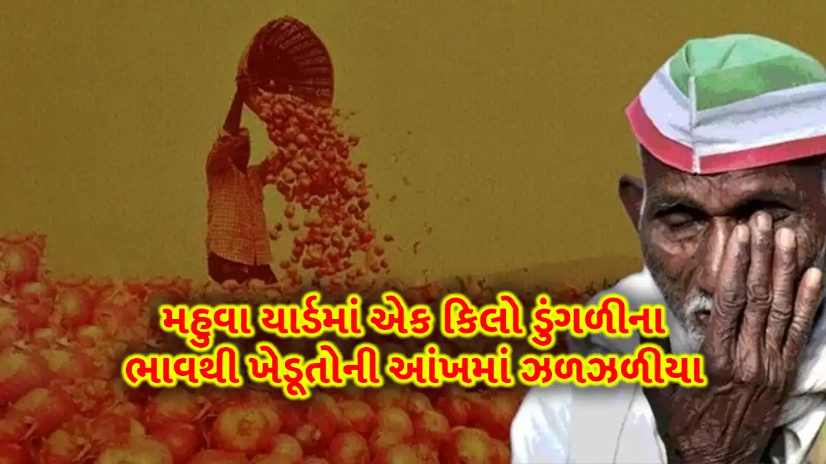 The price of one kg of white onion in Mahuva yard was quoted at just Rs 1: Farmers were shocked