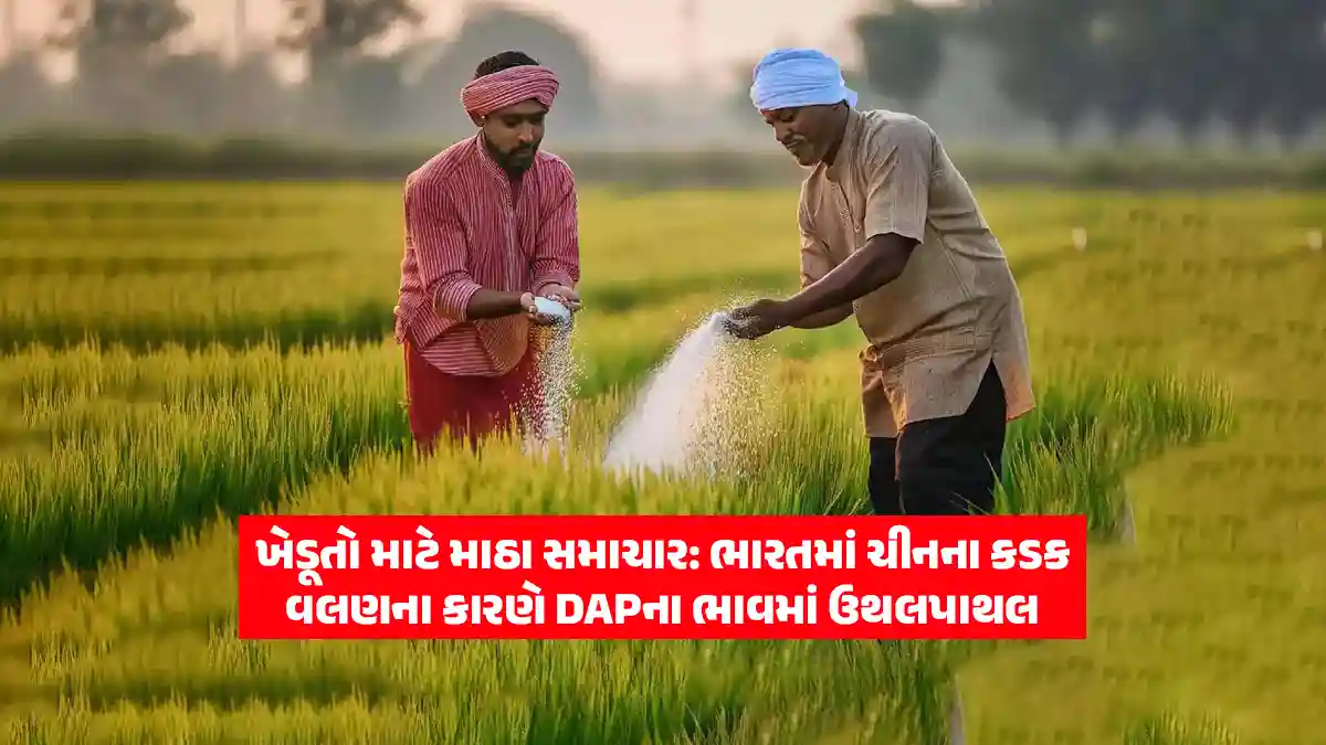 China's tough stance in India causes fertilizer prices to surge: DAP imports fall, prices rise, pressure on government khatar subsidies