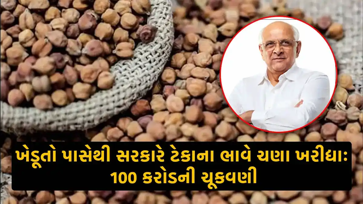 Gujarat government pays 100 crores for purchasing gram from farmers at support price under PM Aasha scheme