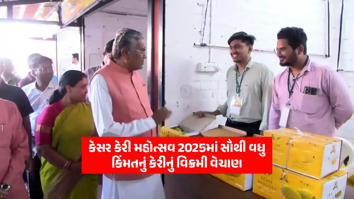 Kesar Mango Festival 2025 Highest ever sale of over 3.30 lakh kg mangoes worth Rs. 4 crores said Raghavjibhai Patel