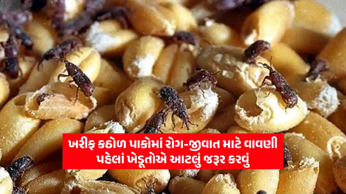 kharif pulses sowing for integrated pest management agriculture guidelines for farmers