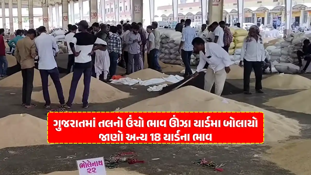 latest tal market rates june 6 sesame price today in gujarat