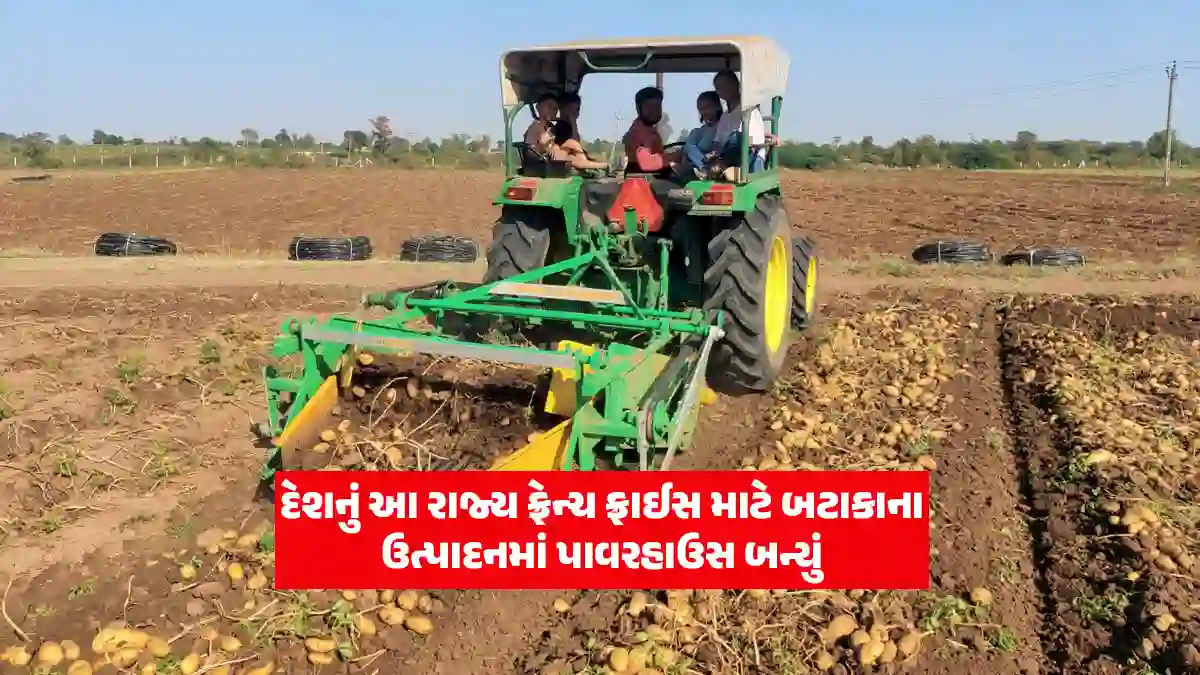 Gujarat leads in India Processed Potato Production for French fries and wafers