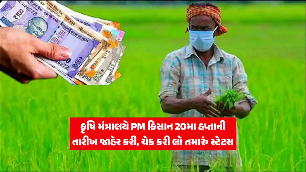 Agriculture Ministry announce PM Kisan Yojana 20th installment date for farmer - કૃષિ મંત્રાલયે PM કિસાન યોજના 20મા હપ્તાની તારીખ જાહેર કરી
