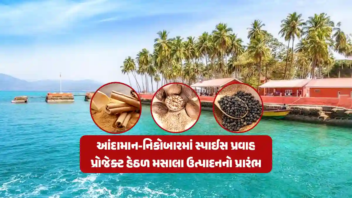 Spice Pravah project launched to revive Andaman and Nicobar Spice Route for local spice production