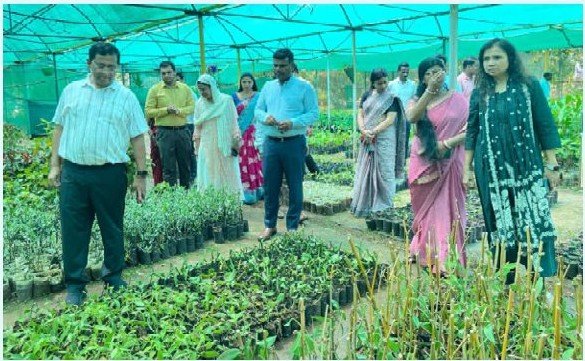 Andaman and Nicobar to plant a total of 1.25 lakh spice saplings between August and September