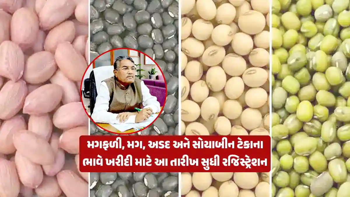 Gujarat government purchase groundnut, moong, urad, soybean Kharif crops tekana bhav kharidi registration date