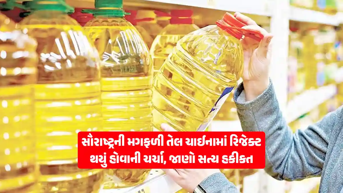 Gujarat Saurashtra groundnut oil has been rejected in China