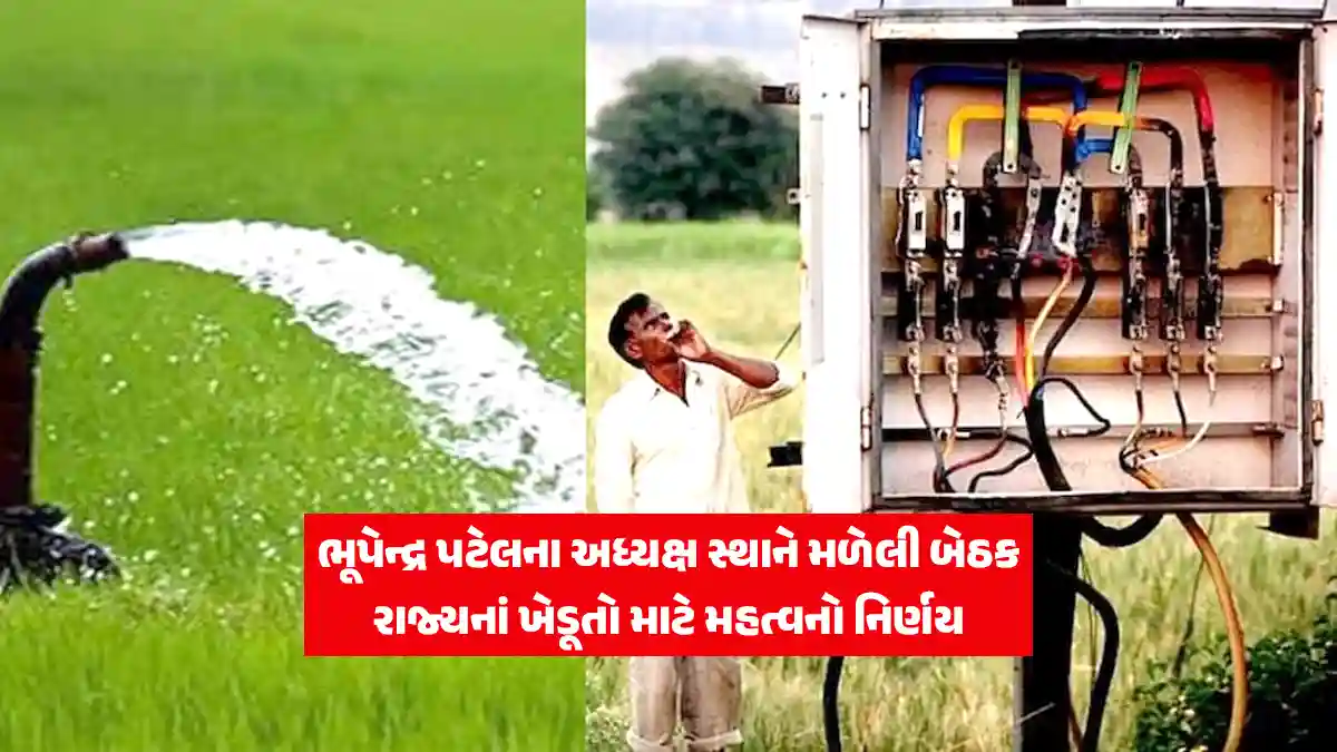 Big news for farmers, now electricity will be available for 10 hours for farming, big decision of Bhupendra government