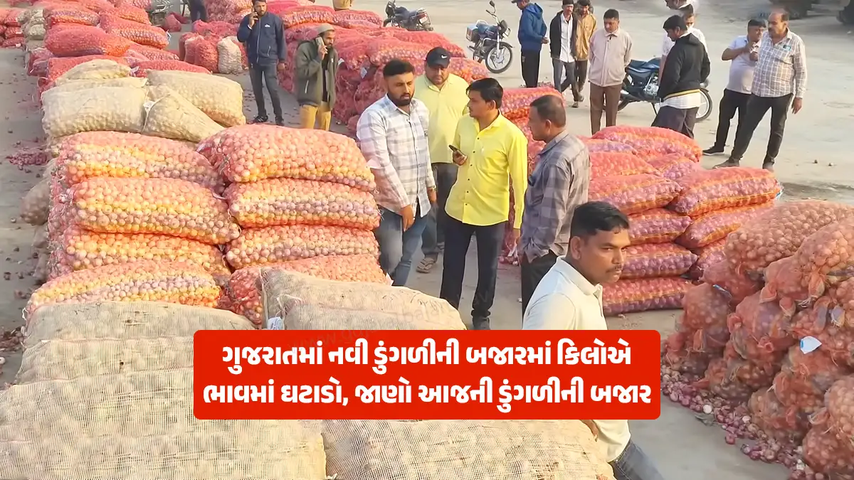 Onion price today: New onion market in Gujarat saw a decrease in price per kg, know today onion market price