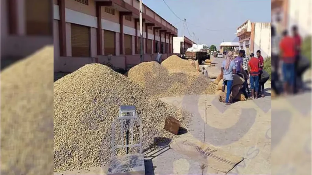 dwarka tekana bhav kharidi start