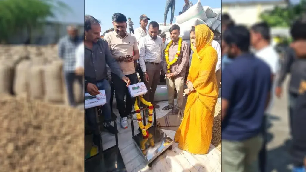 gondal yard tekana bhav kharidi start