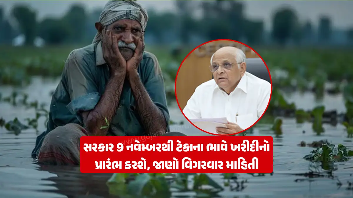 Against the damage caused by unseasonal rains, Gujarat Chief Minister Bhupendrabhai Patel said that the government will start purchasing groundnut, moong, urad and soybean tekana bhav from November 9