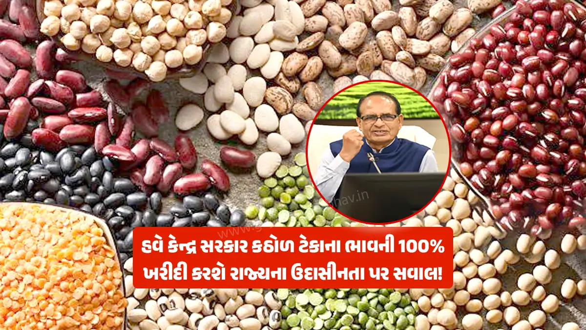Relief news for farmers: Central government will purchase 100% of support price on pulses, question on indifference of states!