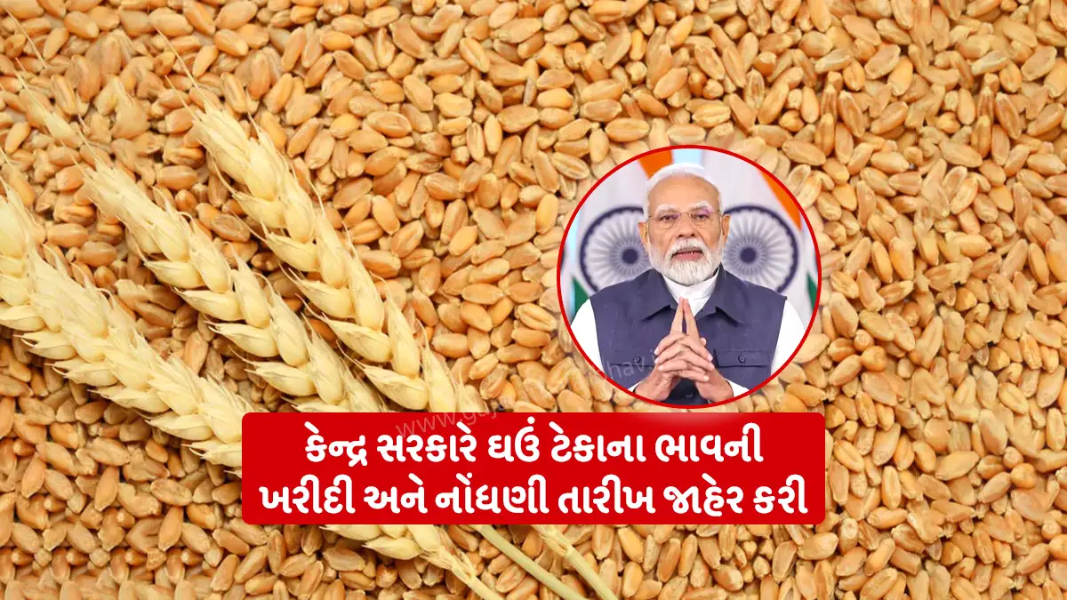 Important news for farmers: Central government announces the purchase and registration date of wheat minimum support price for Rabi marketing season 2026-27