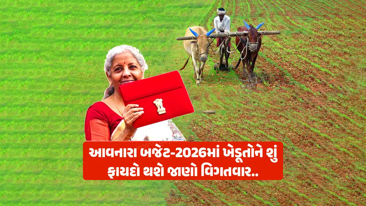 Union Budget 2026 Expectations: A bill to stop the sale of fake seeds will be presented in the Union Budget 2026, know the possibilities of Budget 2026
